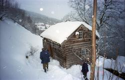 Kalvehagen i Fredsvika. .(Se Romsdal Sogelag 2009)