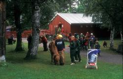 Olsok på Romsdalsmuseet i 1996. .Aktører fra Vistdal bondekv