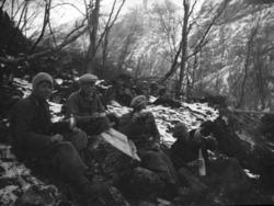 Pause i tømmerhogsten.