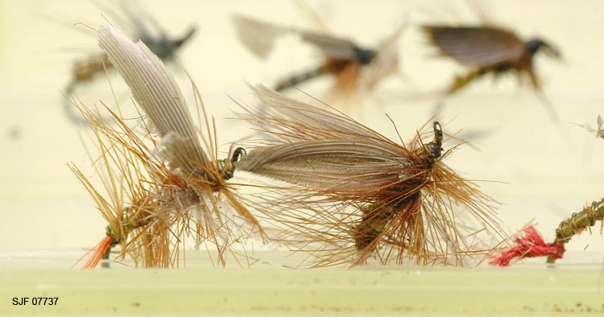 Tilstand: I forbindelse med omfototgrafering høsten 2002, oppdaget OT Ljøstad at enkelte av fluene i denne esken var totalt ødelagt av møllangrep.  Problemet må ses i sammenheng med at materialet har vært oppbevart i magasin C, der temperaturforholdene har passet møllen godt.  Fluene vil nå bli reingjort og flyttet til kjølerommet. 

Boksen inneholder ialt 76 fluer alle ant. tørrfluer. 2 stk har ekstra lange bein ant. navn: Daddy long legg. Tørrfluene virker på den måten at de flyter oppå vannet. Giveren har skrevet ei bok som heter "Isfiske" sammen med Knut Rom, boka ble utgitt i 1972. Giverens far var en ivrig sportsfisker og er gitt tittelen "Den fullendte sportsfisker". 