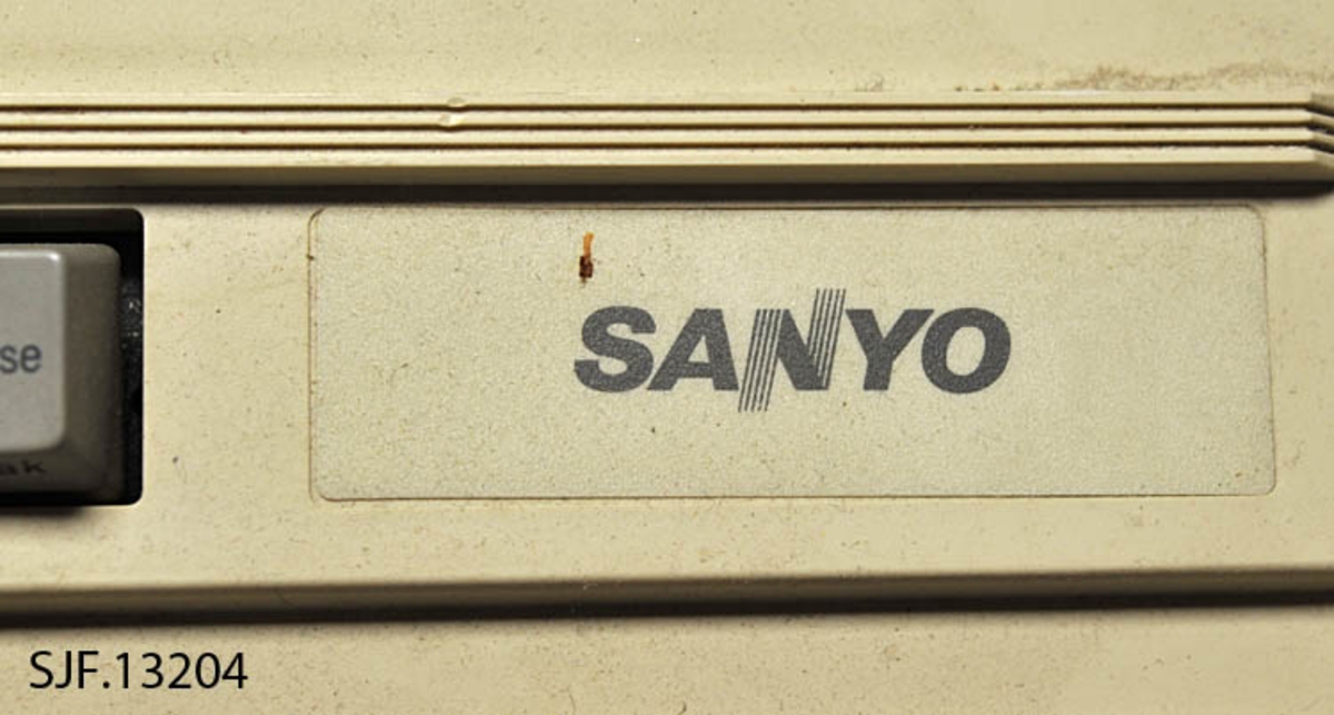 Halmskoene ble brukt til forskjellige bruk som tøffler, utesko og fjøssko. Halmen som er blitt brukt i skoen kommer enten fra havre, hvete eller rugmalm. Ved jobbing med malm må stråene være passe våte. Halm ble brukt til nyttegjenstander. 1 par. 
