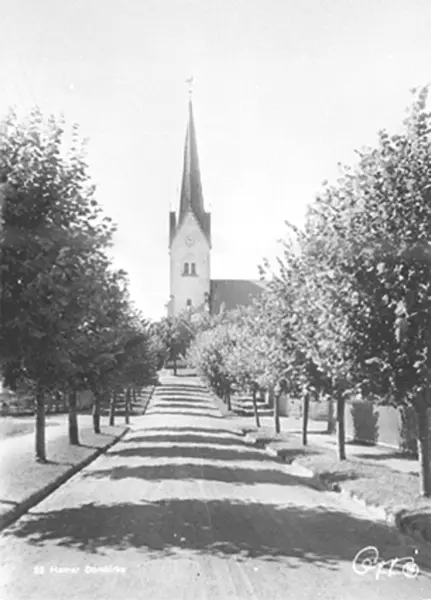 Postkort, Hamar Domkirke, Holsetgata, Beplantning - Anno Domkirkeodden ...