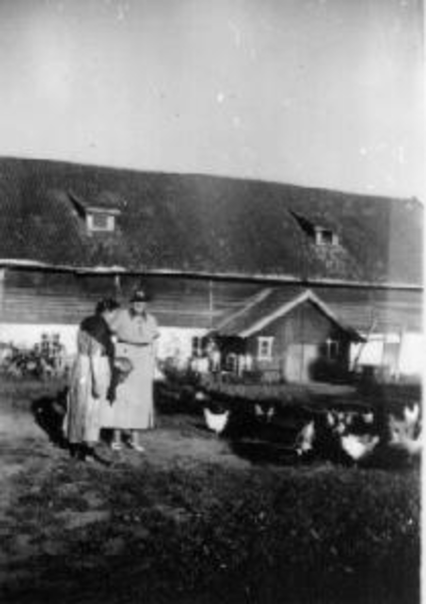 Foring av høner på Mellom-Kise, Nes, Hedmark. Mor og datter, Anna Dorthea Haugen (1883-1965) og Anna Marie (1910-1992).