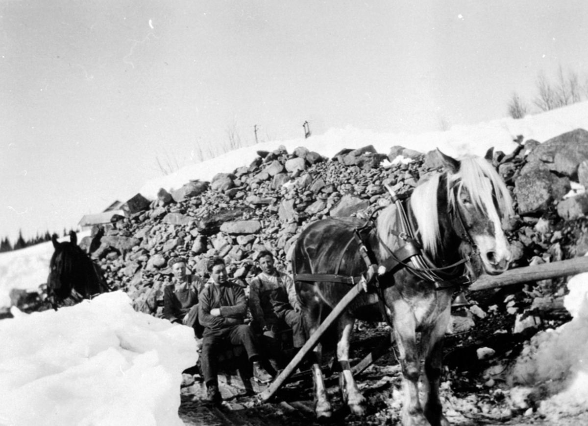 To hester med steinslede ved steinrøya på Lien gård, Åsmarka. Tre menn på sleden. Mathias Åseth, Oskar Sætheren, Sigurd Rudi.
