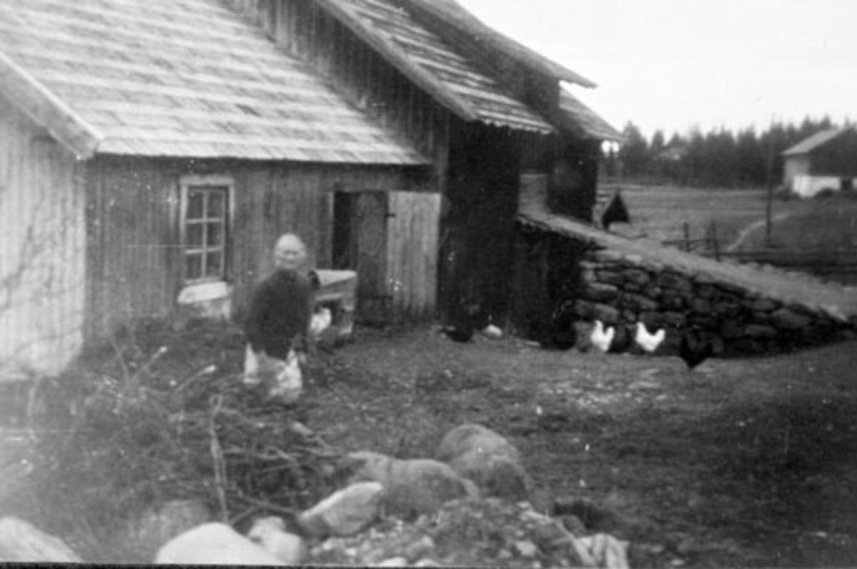 Veoline Sollien f.1874 mater høner utenfor låven i Engeland, Stavsjø, Hedmark.