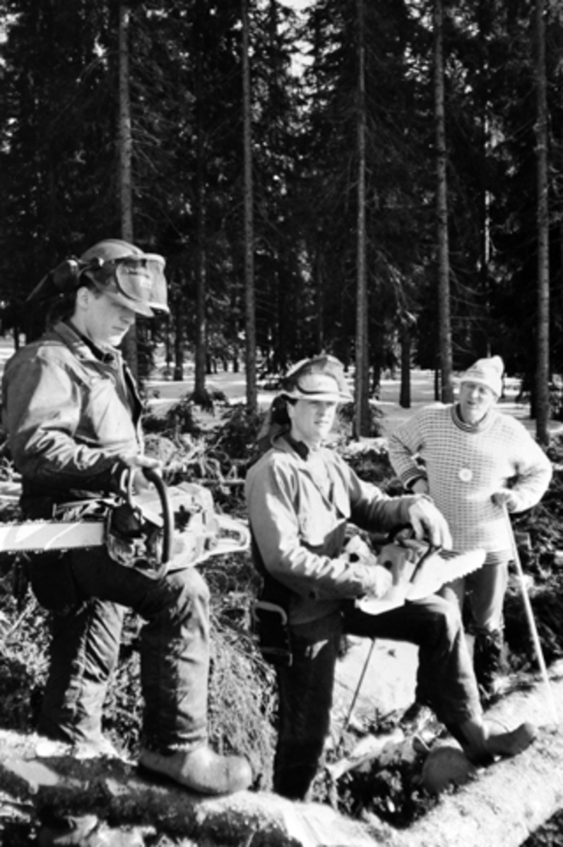 Skogsarbeid med moderne utstyr, 2 menn med motorsager. Fra venstre er Tom Erik Mausethagen, Ole Anders Mausethagen og Ole Ellefsæter på ski, Furnes Almenning.