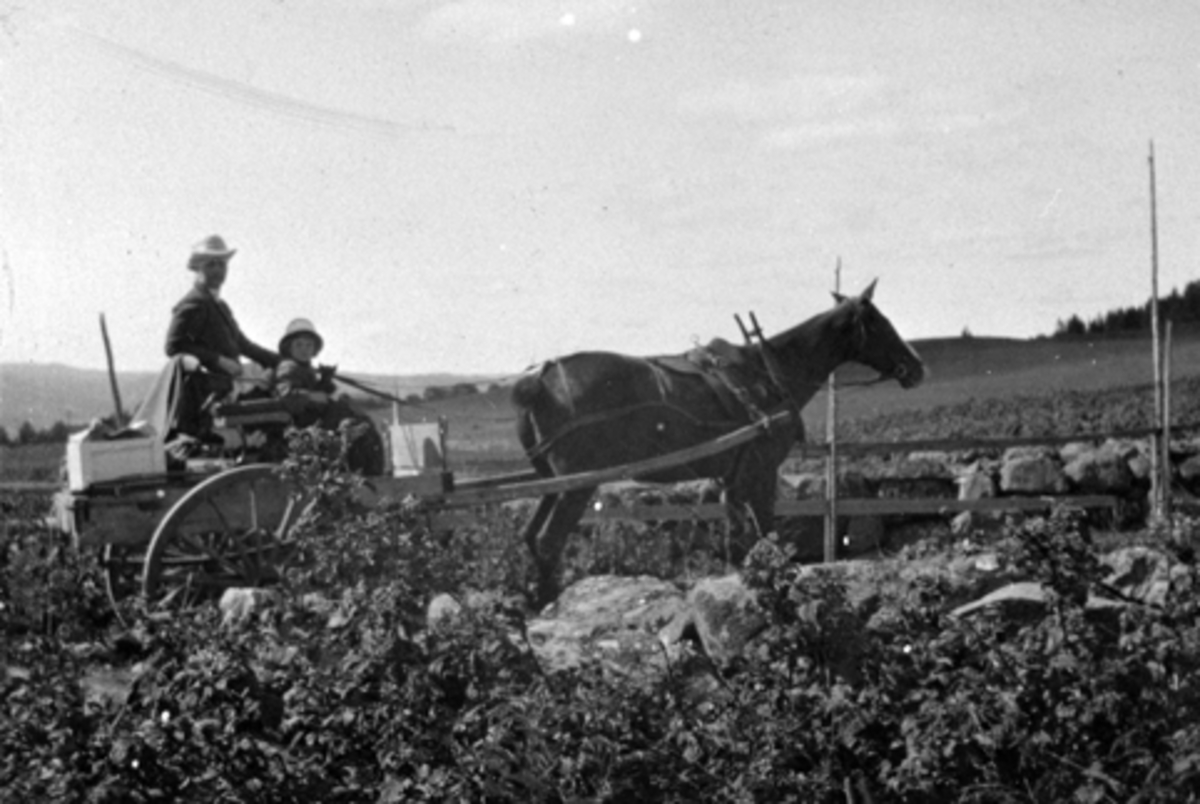 To ukjente personer med hest og vogn. På vei til Lille-Moste som er setra til Hoel gård, Nes, Hedmark.
