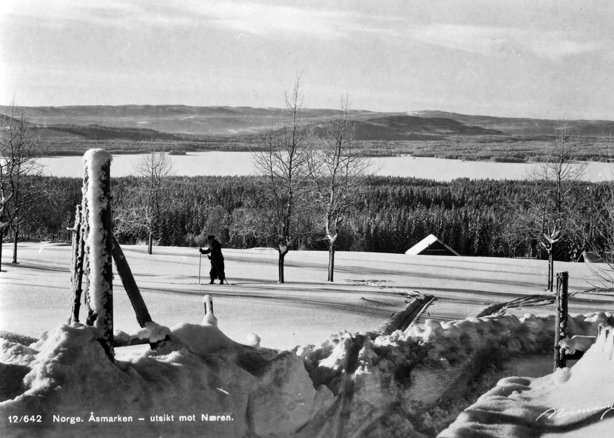 Postkort, Ringsaker, Åsmarka, utsikt mot Næra, vinterlandskap