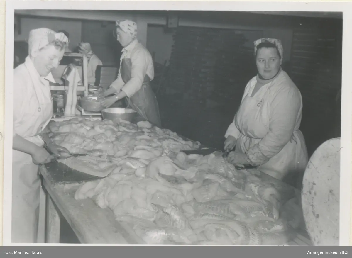 Fisken gjennomlyses og renskjæres, filetfabrikken på Finotro, 25. januar 1956