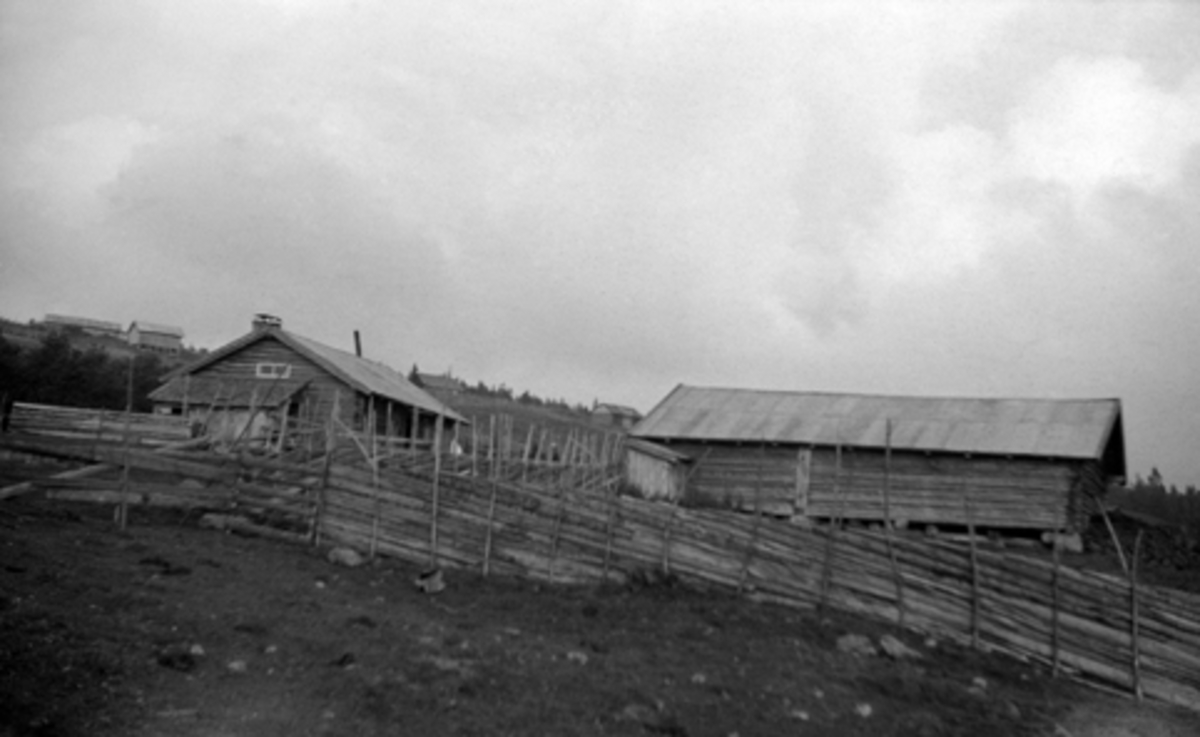 MÅLLIA, STOR-KVESTADHUSA, STORKVESTADHUSA, LØTEN, 1946. Seter. 