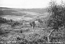 "Dovre. Hjerkinn Station med Hjerkinn Sanatorium"