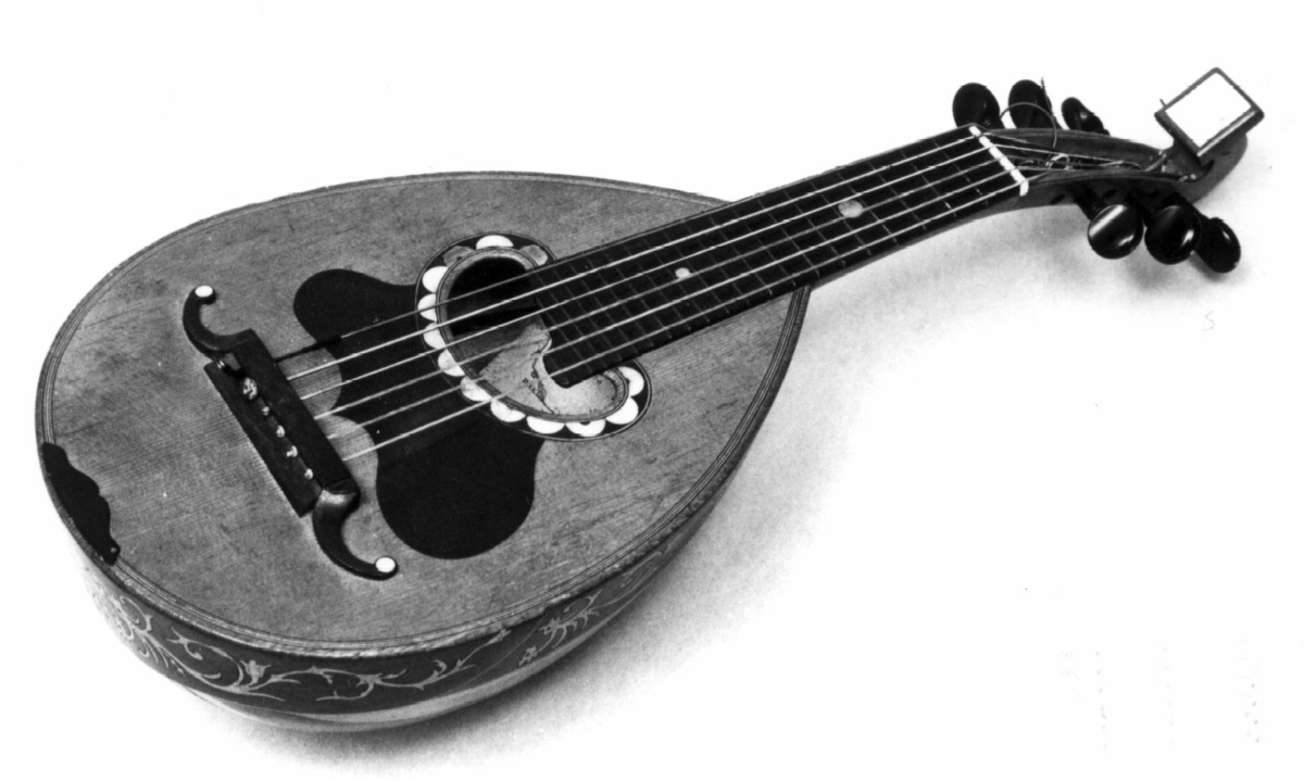 6-strenget. Typisk genueser mandolin: noe bredere hals enn vanlig på mandoliner. Bunne består av 15 spon med avvekslende palisander og ahorn. Sponene nærmest lokket og beltet forsynt med intarsia av lyst tre fremstiller ranker og fabeldyr. Plekterbrett av ibenholt. Rundt lydhullet et enkelt skildpadde/perlemorsinlegg. Oversadel av elfenben. Stemmeskruer av ibenholt, ovale skruehoder med perlemorsøye. Skruekassen ender i et svunget toppstykke , som avsluttes i en rektangulær perlemorsplate. 20 metallnoter.