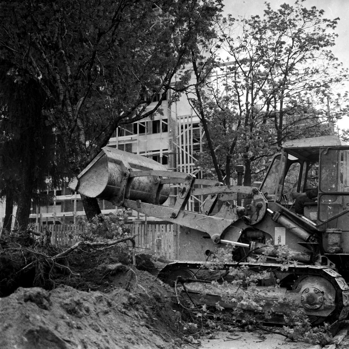 Skoletorvet Hamar. Fjerning av trær med bulldozer langs Storhamargaten. (HS 30. mai 1959)