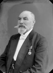 Grosserer Dyre Halse sen.