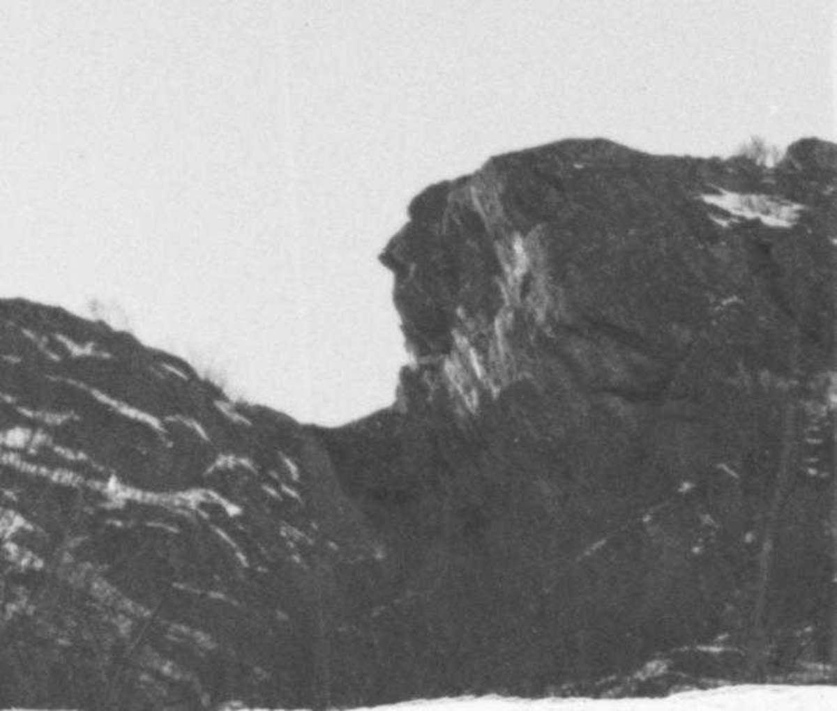 Roald Amundsens profil i Brønnøy