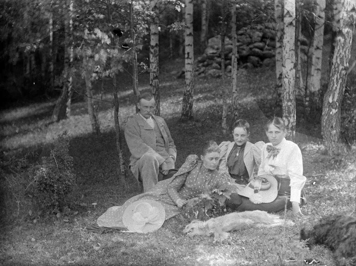 En mann og tre kvinner på tur i skogen. En hund hviler i gresset. Sofie Pihl (f Mellbye) liggende t. v. Lol Misen (f Mellbye) i midten. 