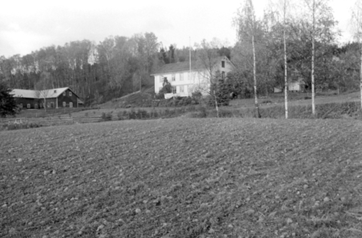 Hol gård, Holsvegen 45, Hamar.