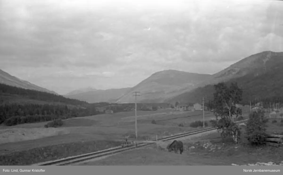 Nordlandsbaneanlegget : linjeparti ved søndre Dunderland sett fra husene på Moen, mot mittigarden og innergarden