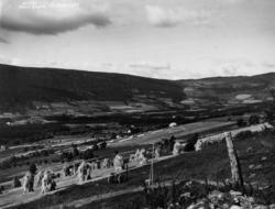 Oversiktsbilde Landbruk Jordbruk