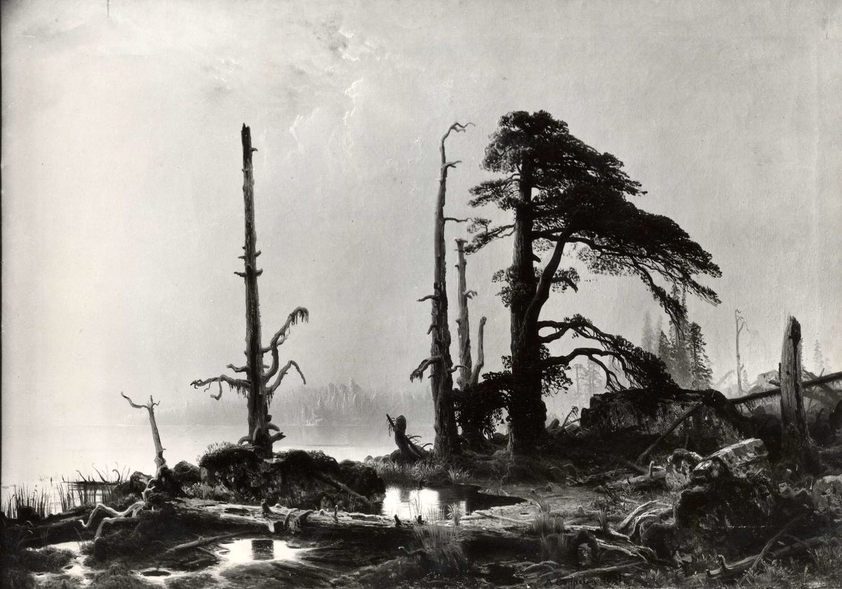 Maleri av August Cappelen: "Skogstjern i tåke", 1852(?). Holden, Telemark.