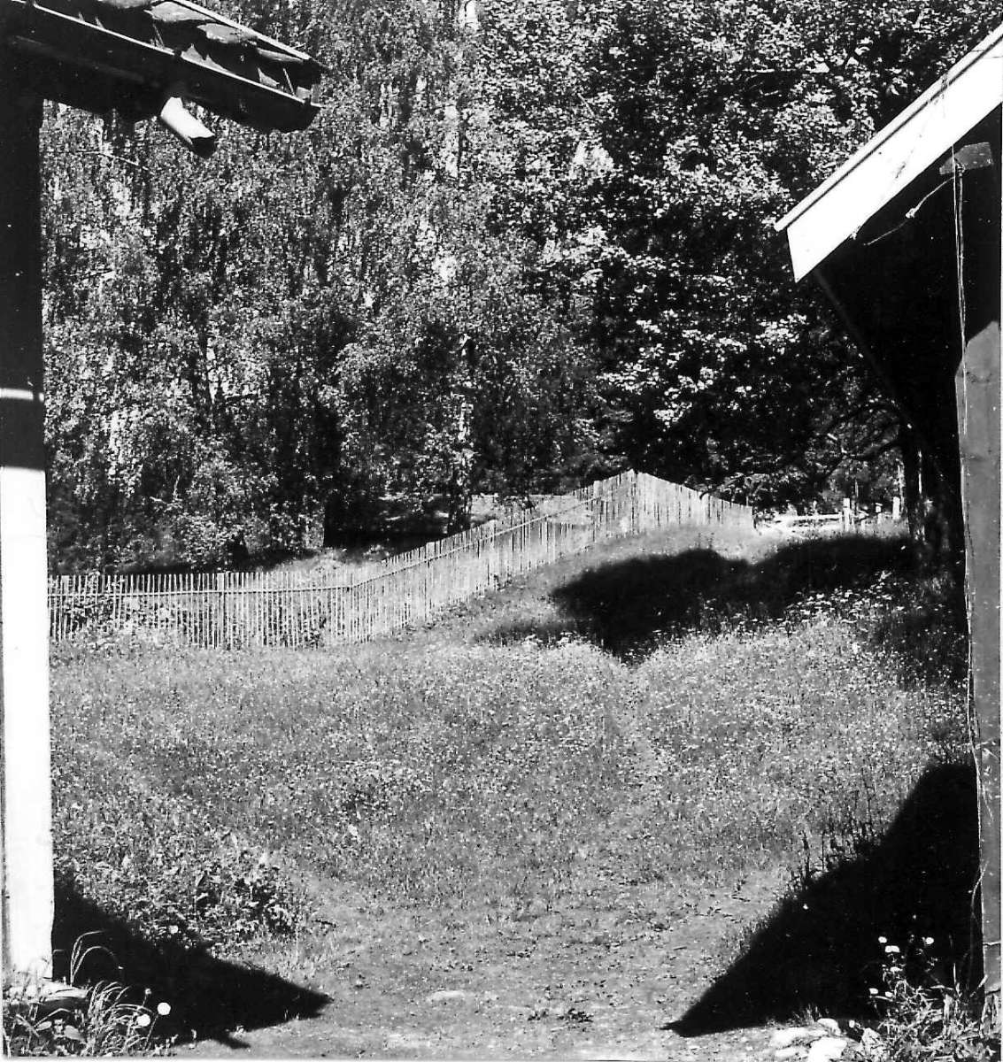 Viken, Hurdal, Akershus 1954. Tomt mellom to hus. Storgårdsundersøkelser ved dr. Engelstad i 1954.

