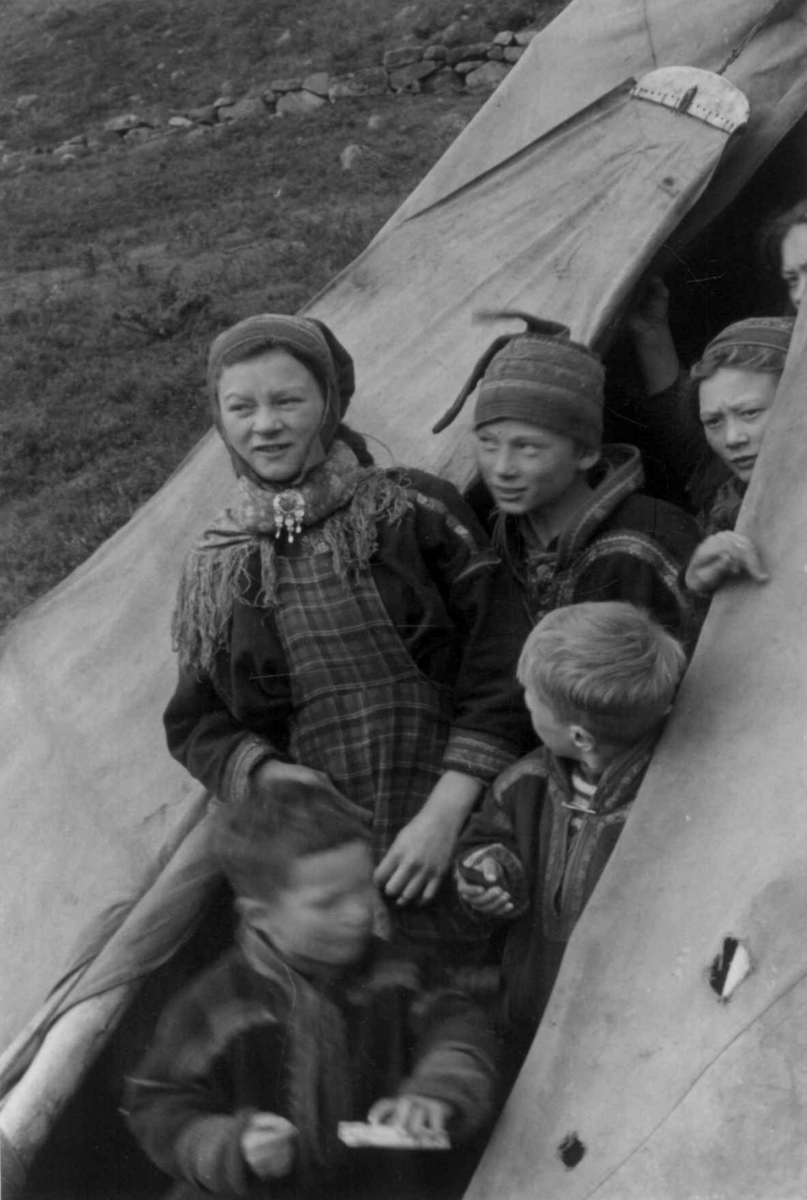 Josef, Inga, Mikkel, Berit-Anne og Ellen Perdatter Buljo i teltåpning, 1953.