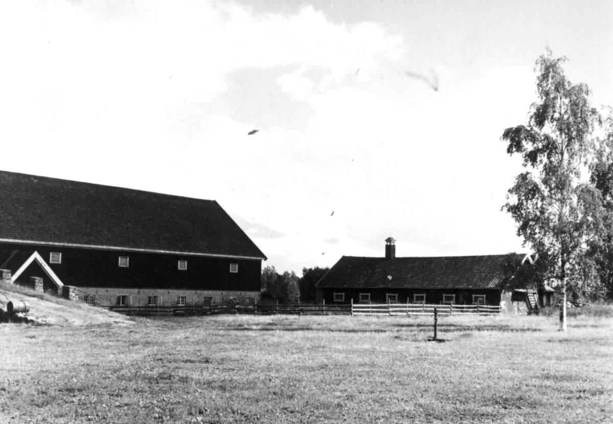 Ringnes, Stange, Hedmark. Tunet og uthusbygningene.
Fra dr. Eivind S. Engelstads storgårdsundersøkelser 1956