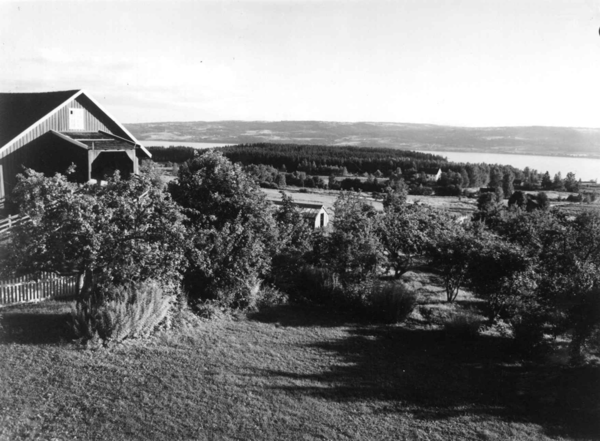 Helgeby, Nes, Ringsaker, Hedmark. Storgårdsundersøkelser ved dr. E. Engelstad 1957. Utsikt fra hovedhusets veranda over Mjøsa.
