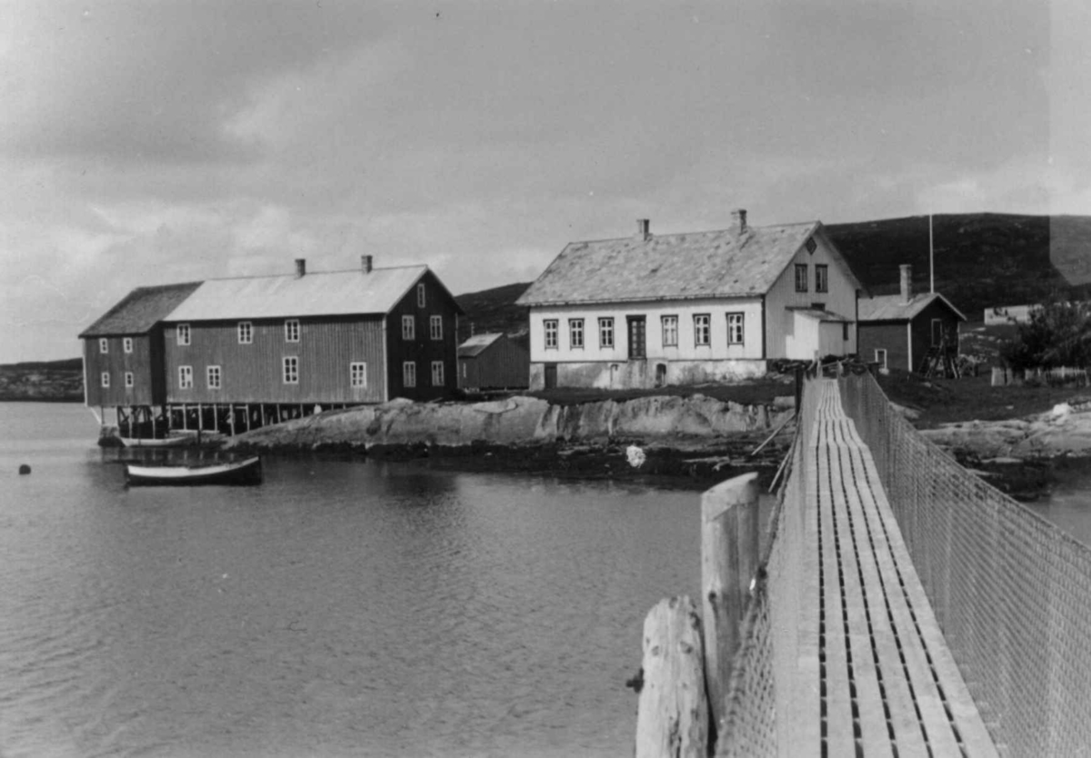 Stott
Fra dr. Eivind S. Engelstads storgårdsundersøkelser 1954.