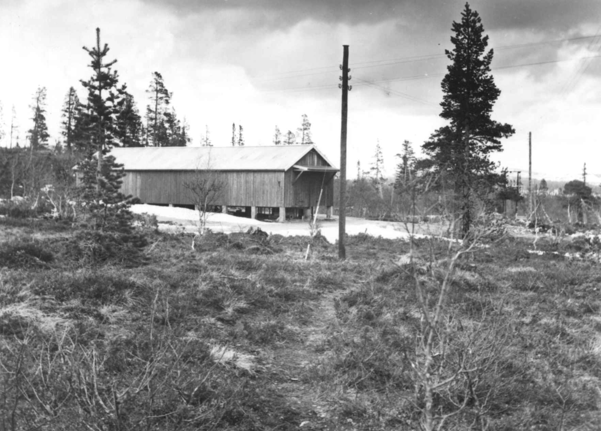 Slaktehuset i Elgå, 1961.