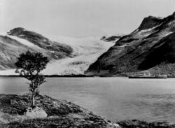 Et skip på fjorden foran Svartisen i Nordland.