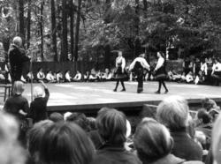 Norsk Folkemuseums barne- og ungdomsleikarrings 25 års jubil