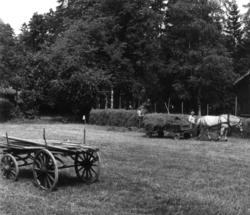Slåttonn på friluftsmuseet, Norsk folkemuseum, 1978. Kjerre 