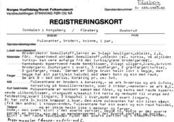 Strikking, Pulsvanter, brodert, kvinne, 1 par