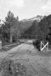 En åpen grind ut mot veien fra doktorgåren mot Knyken, Surna