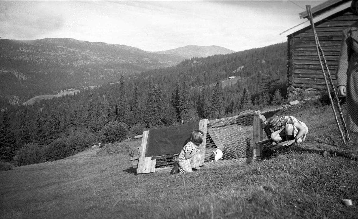 Kari Arentz leker med kaniner utenfor hytta på Ligardshaug 1942. Utsikt mot fjellene i Eggedal.
