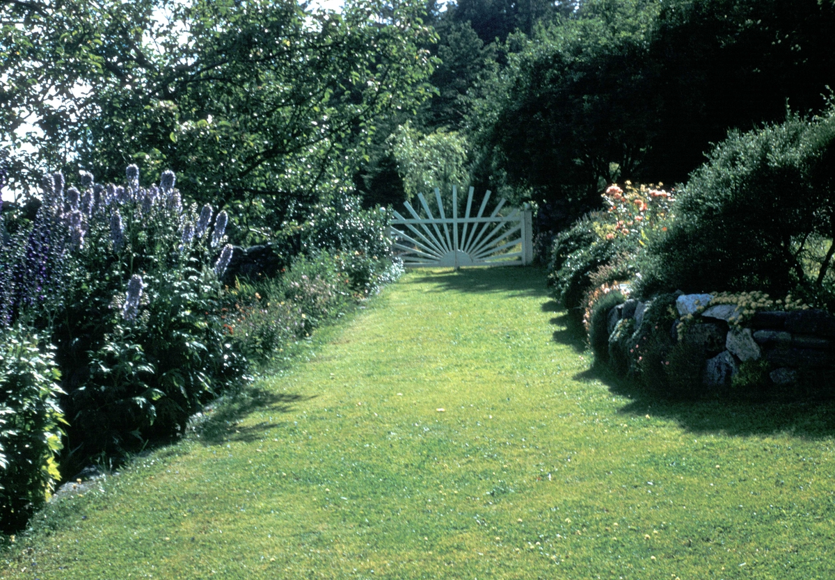 "Erigerons have". Solporten tegnet av Harald Thaulow etter et besøk på Åkerø slott.