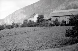 Storegraven, Granvin, Hordaland. Skolen med med låve sett fr