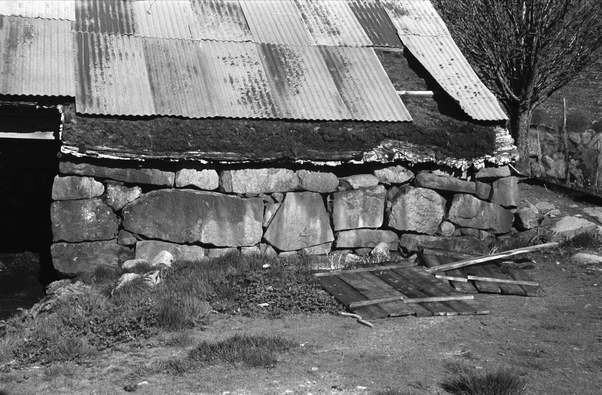 Vølstad, Gjesdal, Rogaland. Utvendig, steinfjøs, vegger i stein, never, torv og bølgeblikk på taket.