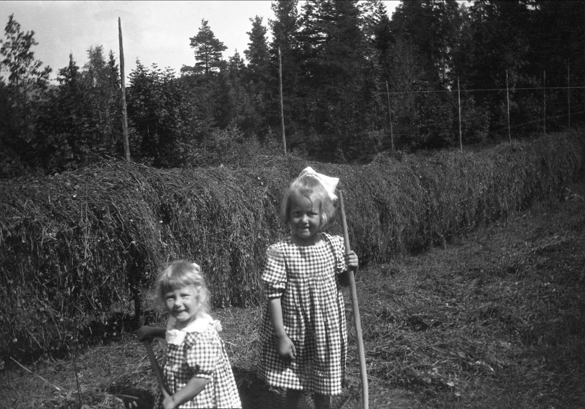 To jenter med kjole står å poserer foran en hesje. Robsahm og Lund.