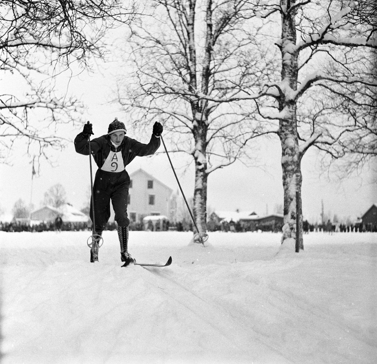 Serie. Skiløperen Halgeir Brenden i 1956, bl.a. med en italiensk avis under OL. Fotografert 1956.