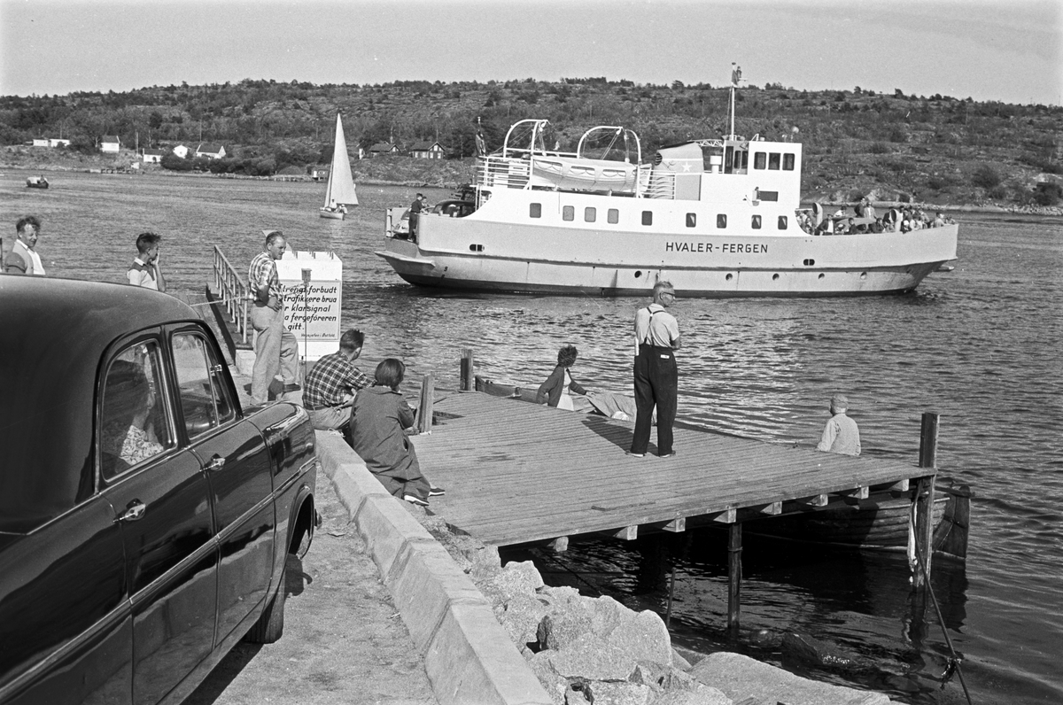 Serie Hvaler-fergen. Fotografert juli 1959.