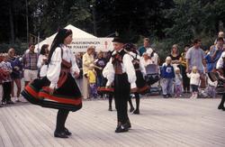 Folkedans på festplassen, Matdagen i 1995.