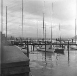 Befaring på Hovedøya, båthavn, Oslo 1956.