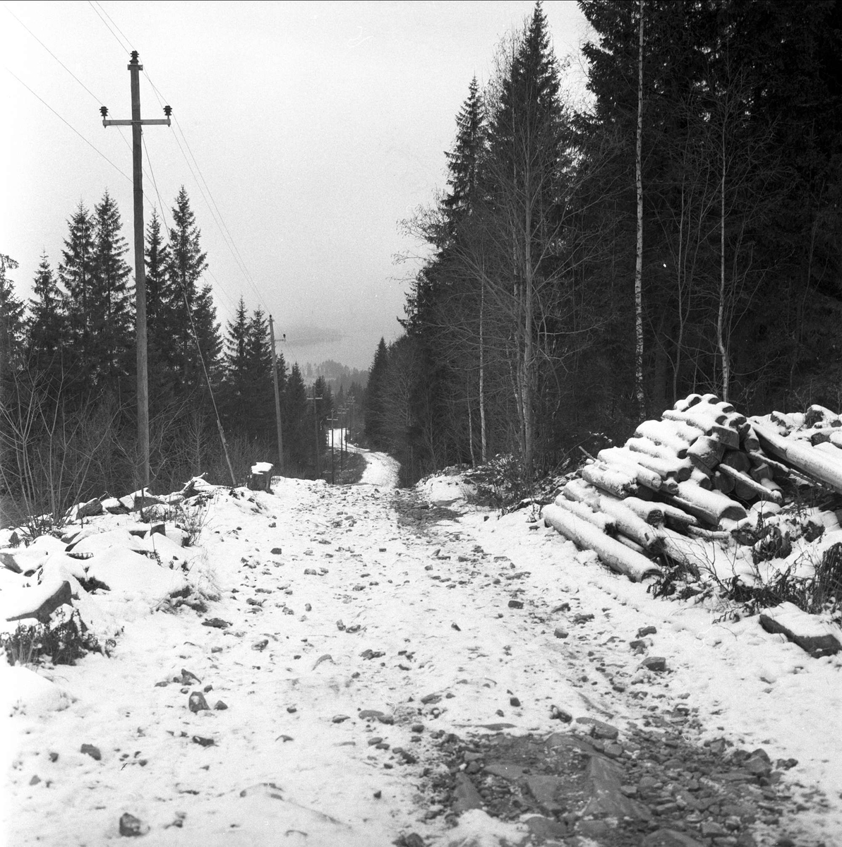 Skiforeningens løypeleggere i arbeid i Oslomarka, desember, 1958.