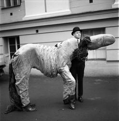 Hestekostyme, forberedelse, Oslo, desember, 1958.