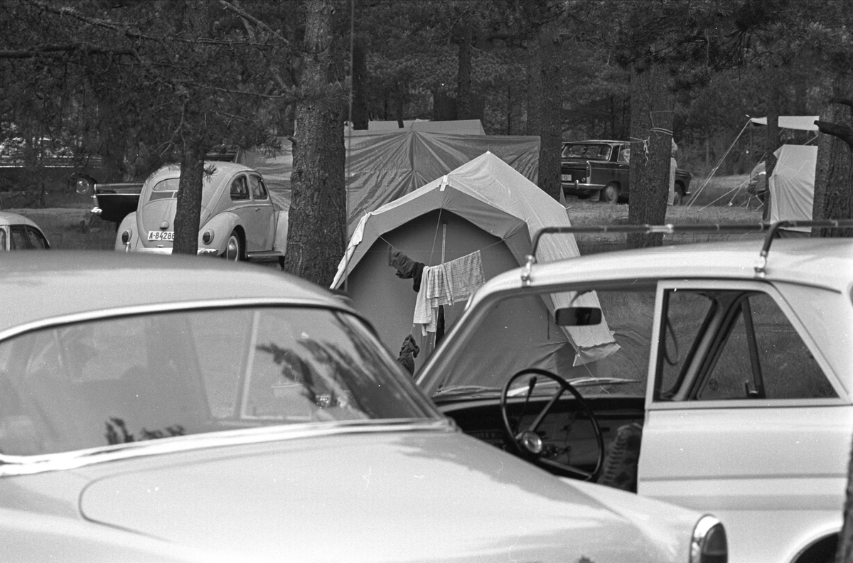 Fra Sjøsanden. Biler og telt i skogen.