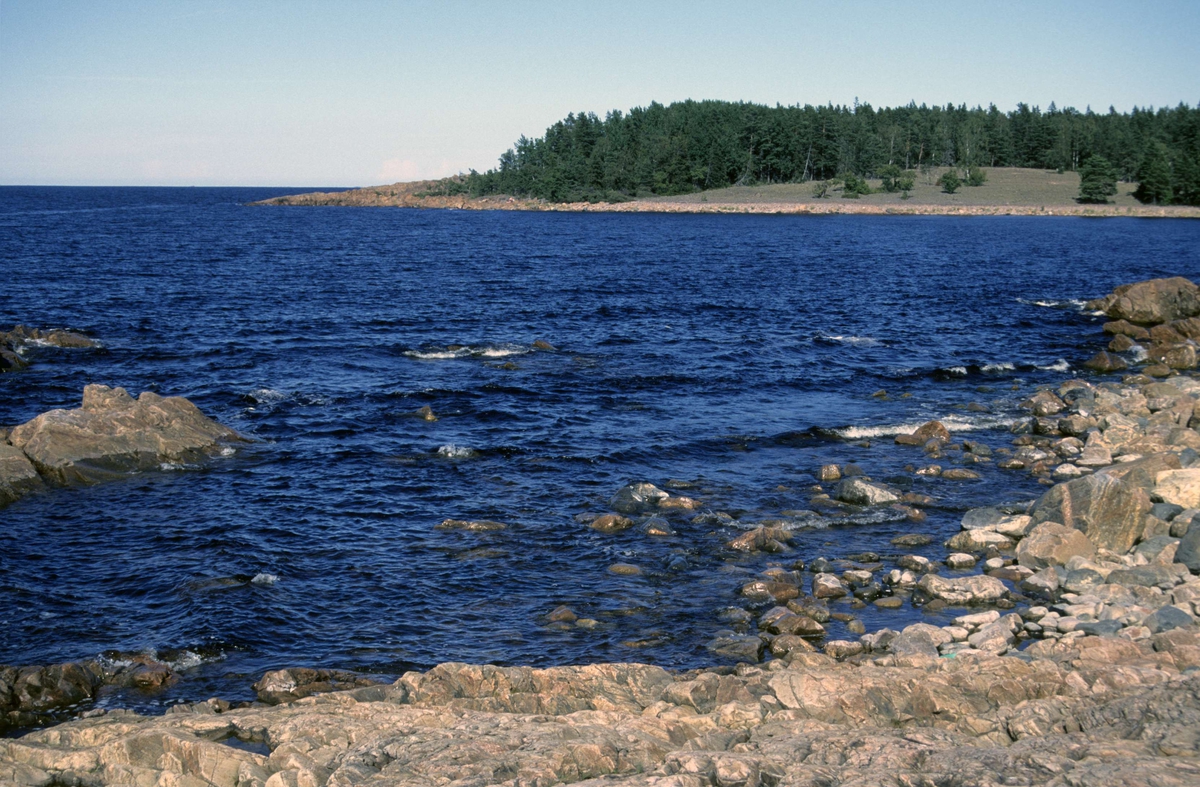 Klapperstensfält i naturreservatet Kapplasse,  Marskär,  Sikhjälma, Hållnäs socken, Uppland 2000