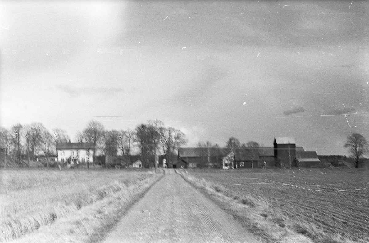 Vy från väster över Uggelsta 1:1, Uggelsta, Lena socken, Uppland 1977