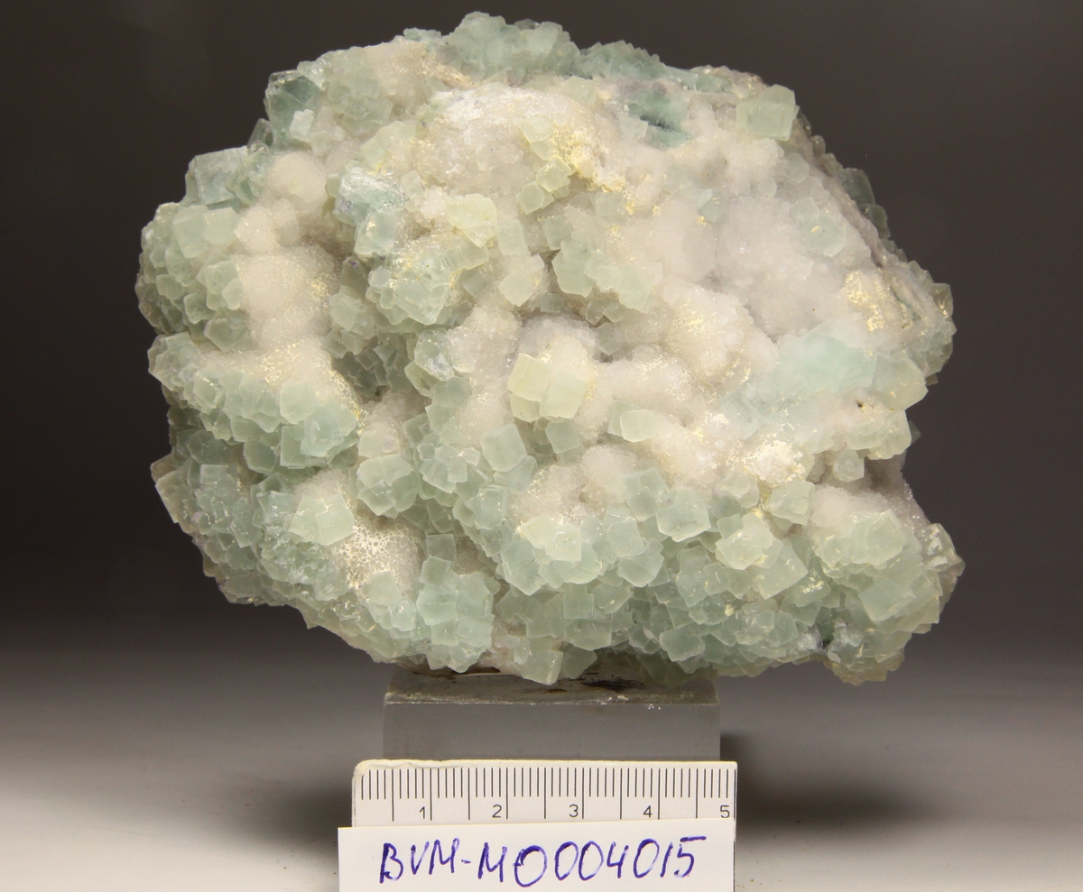 Flusspatgruppe, blekgrønn. Krystaller også på baksiden, små krystaller på kvarts. Kube med kantflater, med krystallvekst på kubeflatene.